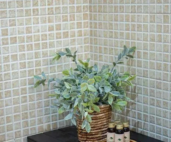 Ave Maria By Silastur