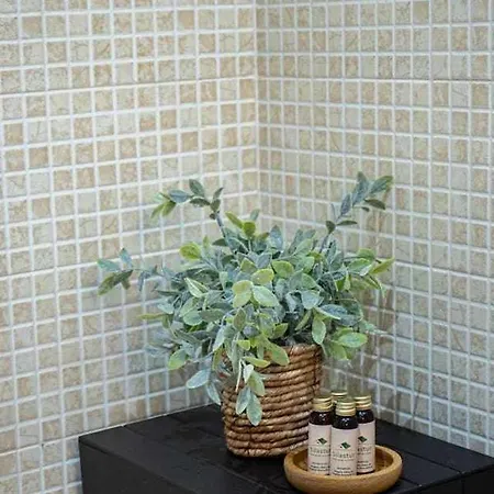 Ave Maria By Silastur